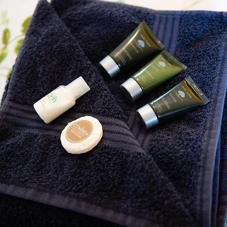 Beech House ベッド・アンド・ブレックファスト *