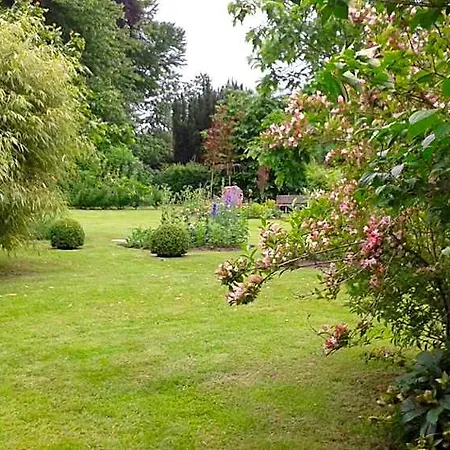 Beech House B&B