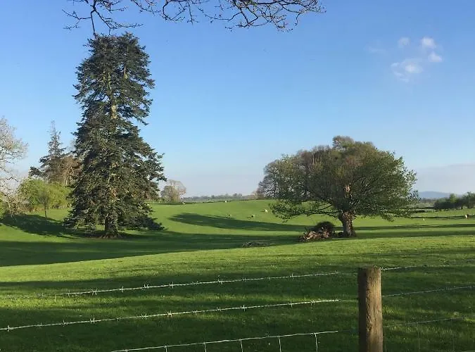 Bed & Breakfast Beech House *