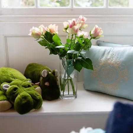 Beech House Bed and breakfast *