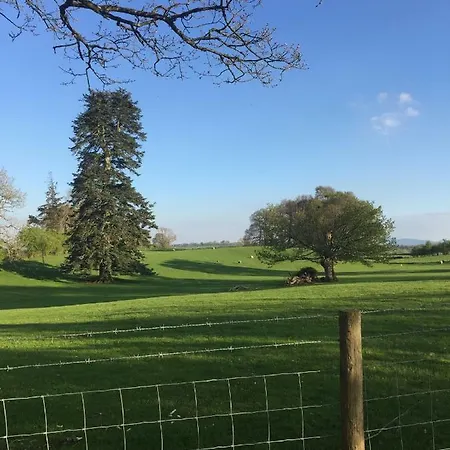 Bed and breakfast Beech House *